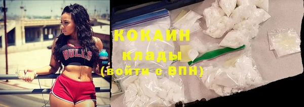 индика Балабаново