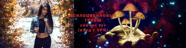 молекула духа Балахна
