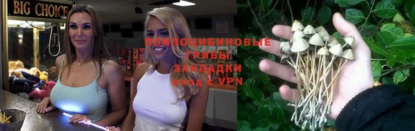 молекула духа Балахна