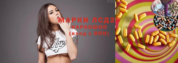 индика Балабаново