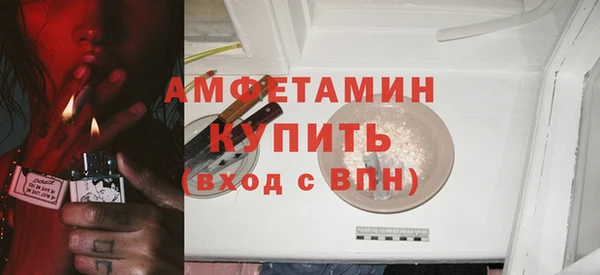 индика Балабаново