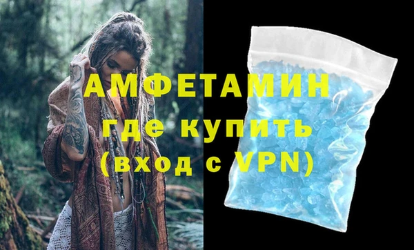 индика Балабаново