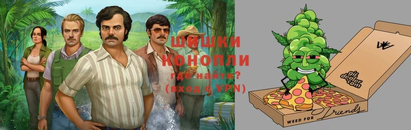 молекула духа Балахна